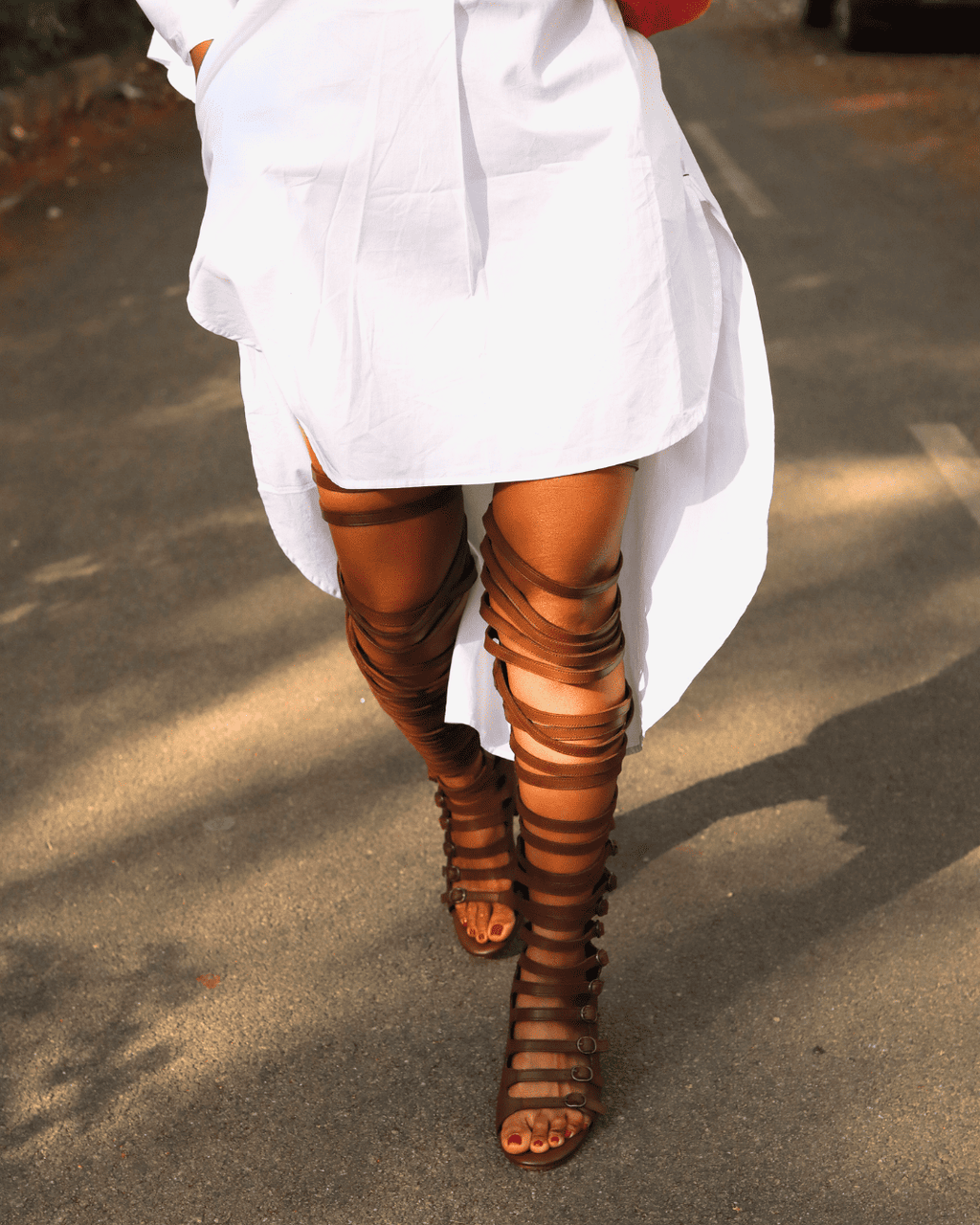 Brown gladiator India